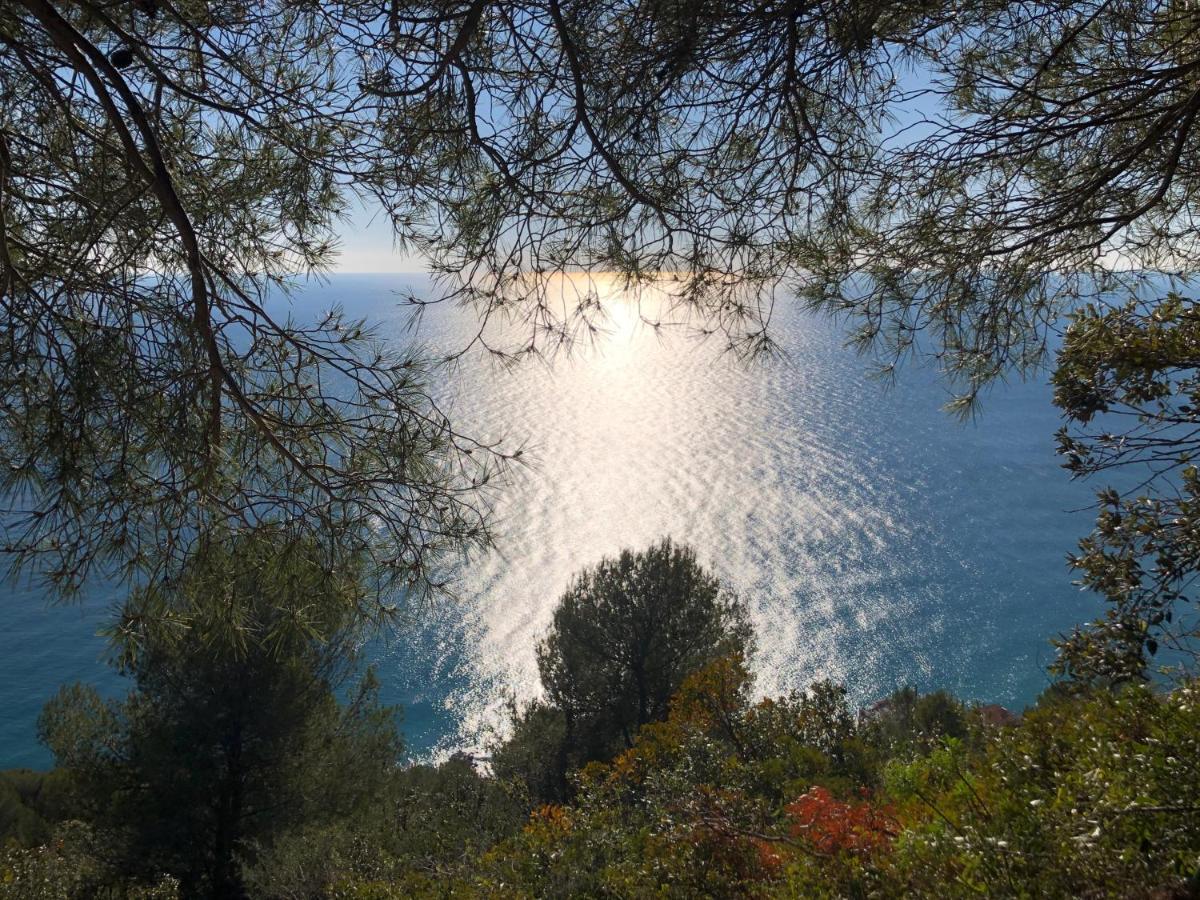 Agriturismo Lavalleggia Tovo San Giacomo Bagian luar foto