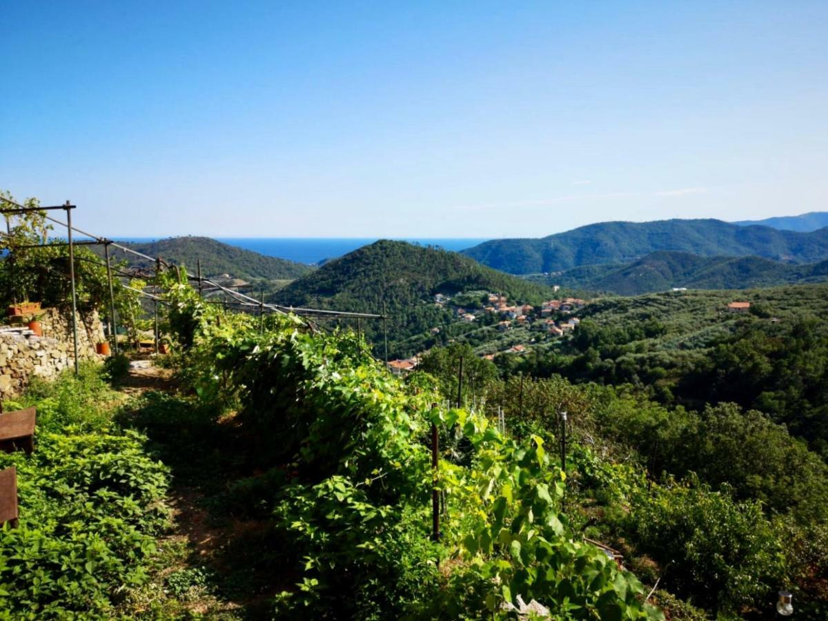 Agriturismo Lavalleggia Tovo San Giacomo Bagian luar foto