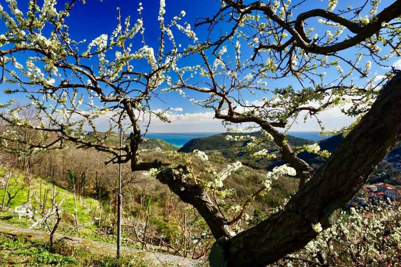 Agriturismo Lavalleggia Tovo San Giacomo Bagian luar foto